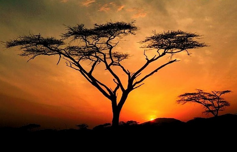 Welcome to the most exciting and empowering website in cyberspace - Ways of Better Shortcuts - - over one million pages of shortcuts for YOU